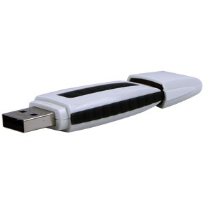 Memoria Usb 4Gb
